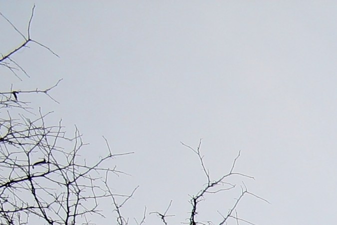 Lotería de viviendas de alquiler en Nueva York