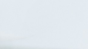 Paleador de nieve en Nueva York