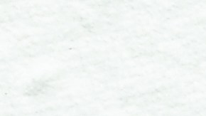 Venta libre de impuestos de Florida