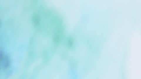 Crédito Tributario por Hijos