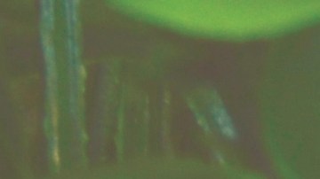 Cheque de estímulo