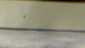 Cheque de estímulo en Alaska