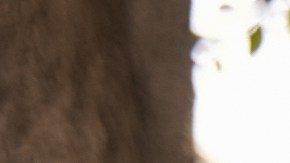 Ayuda para comprar casa en Los Ángeles, California