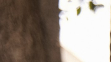 Ayuda para comprar casa en Los Ángeles, California