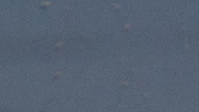 Beneficios temporales de los cupones de alimentos SNAP