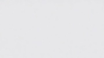 Crédito Tributario por Hijos estatal