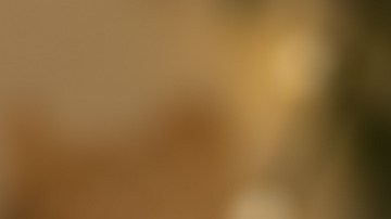 Crédito Tributario por Hijos estatal de Utah