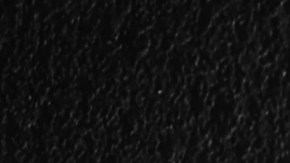 Crédito Tributario por Hijos con ITIN