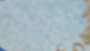 Crédito Tributario por Hijo