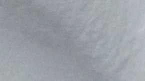 Cupones de alimentos SNAP