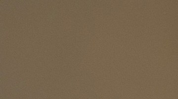 Estafas tarjeta EBT nueva herramienta