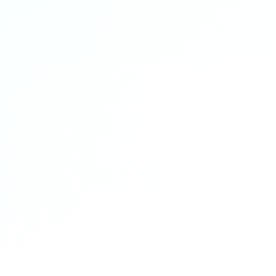 Mascota deducible de impuestos