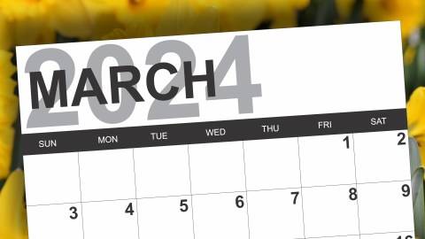 Pagos del Seguro Social marzo