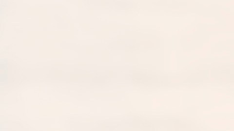 Cheque de estímulo