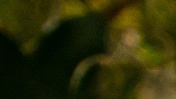 Alquiler asequible de Florida