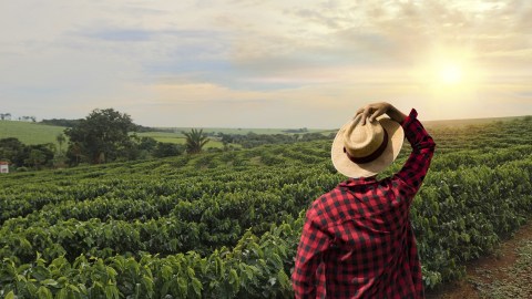Crédito para agricultores principiantes