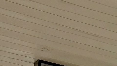 Dollar General