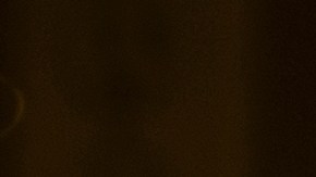 Dollar Tree, tienda en línea