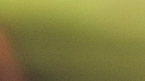 Eliminación del impuesto estatal sobre los comestibles