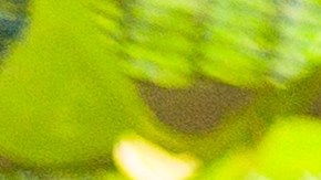 Negocios latinos en Estados Unidos