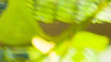 Negocios latinos en Estados Unidos