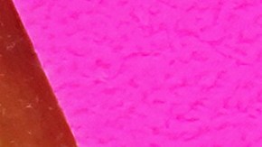 Transcripción de impuestos del IRS