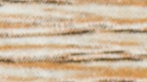 Pagos de SNAP y Seguro Social