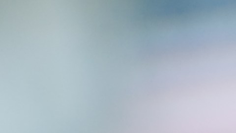 Migrante en Estados Unidos