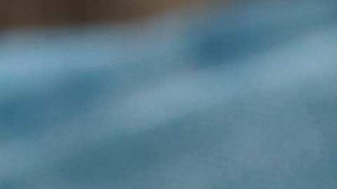 Tienda de segunda mano en Estados Unidos