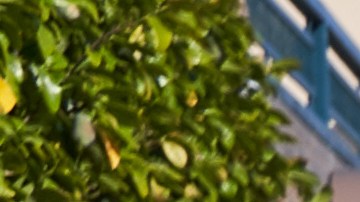 DoorDash trabajo como repartidor