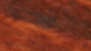 Elegibilidad de Medicaid