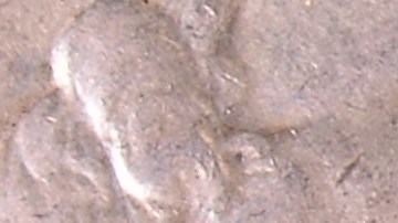 Monedas de 25 centavos quarter