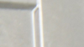 Pérdida de alimentos de cupones SNAP