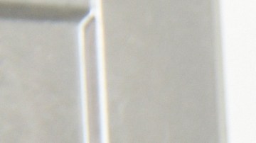 Pérdida de alimentos de cupones SNAP