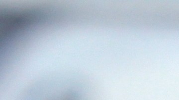 Seguro médico de Nueva York