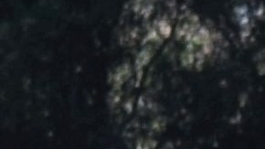 Es común que los trabajadores trabajen largas jornadas, incluso horario extra sin cobro. Esto cambiará muy pronto.