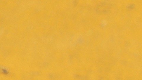Indeminización por mensaje de texto