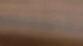 Comida de Burger King, quien pronto lanzará un menú de $5 dólares.