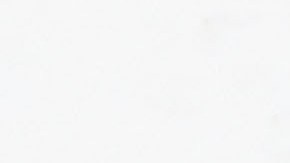 Cheque mensual de $500 dólares en Chicago