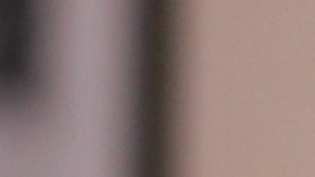 Ofertas de restaurantes para el Días de las Madres