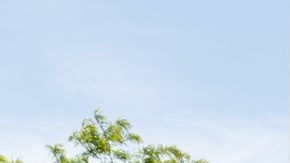 Carrito de compras frente a una tienda Target.