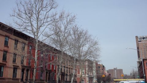Bronx en NY