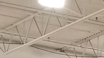 Cajeros en Costco