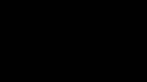 Monedas de Estados Unidos de plata con un dólar de la paz al frente.