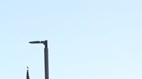 La edad promedio de los autos en Estados Unidos es de 12,6 años