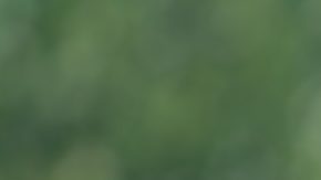 Imagen concepto de beneficios de jubilación del Seguro Social.