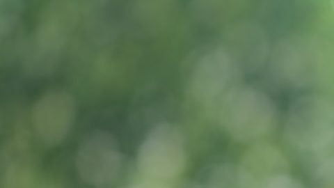 Imagen concepto de beneficios de jubilación del Seguro Social.