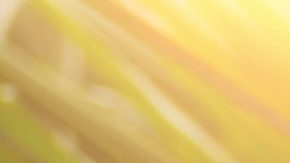 Concepto de tiempo de impuestos, calendario de impuestos 2024 del IRS.