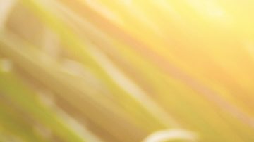 Concepto de tiempo de impuestos, calendario de impuestos 2024 del IRS.