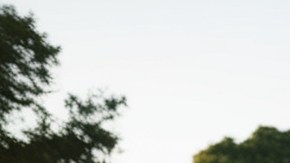 Propietario de vivienda en Estados Unidos